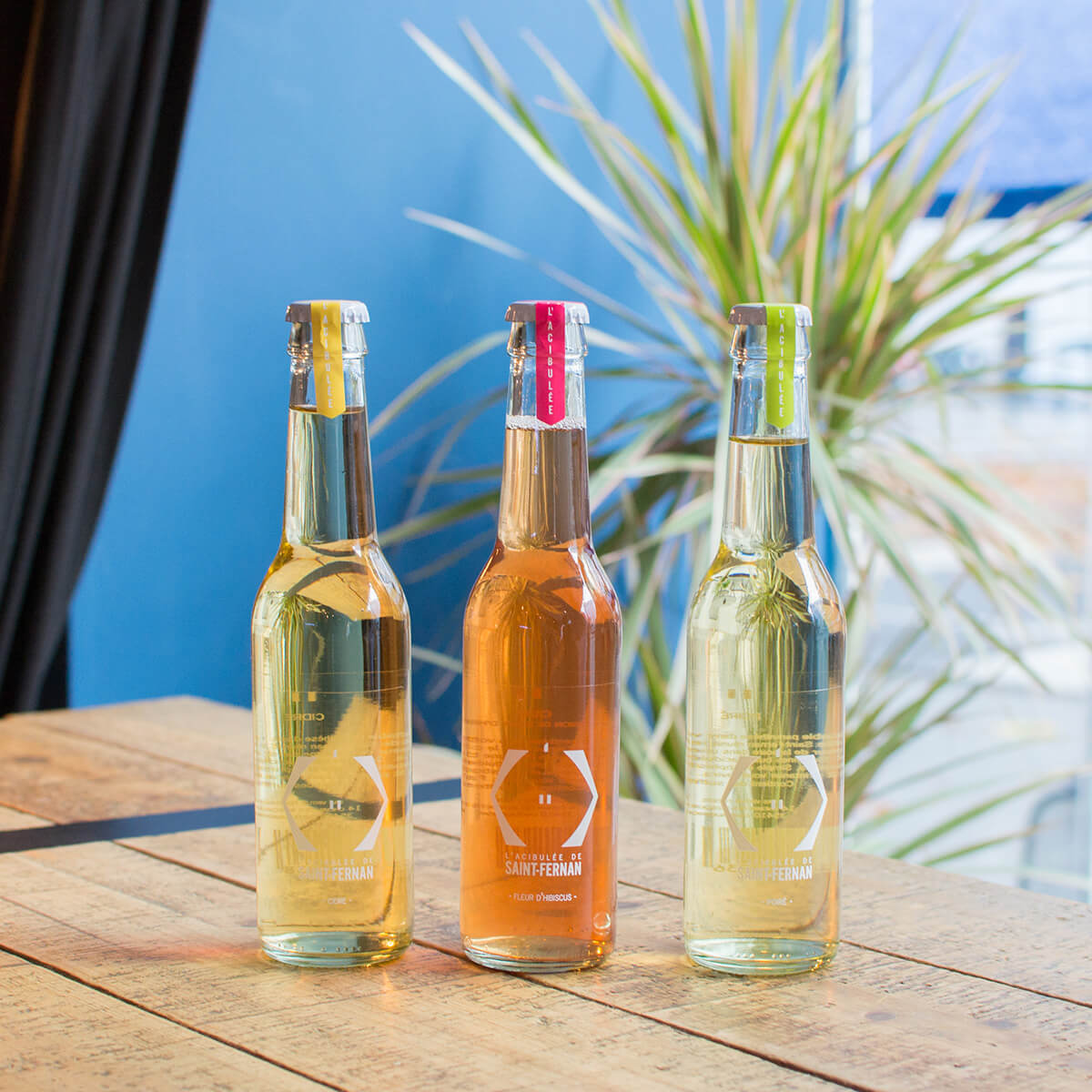 Les Acibulées, des cidres élégants aux saveurs fruitées et acidulées